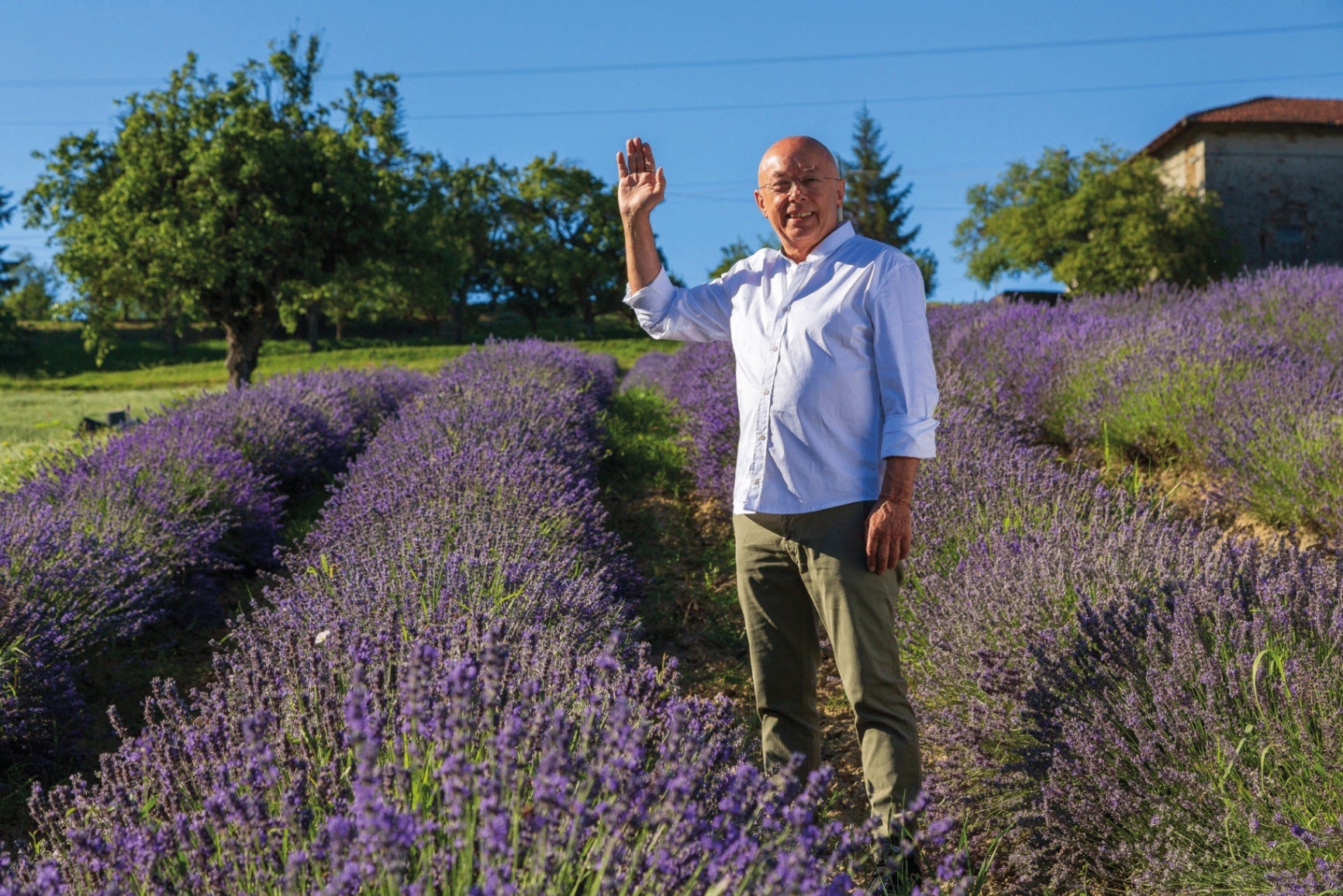 Franco Canteri among lavender rows on the hills of Verona
