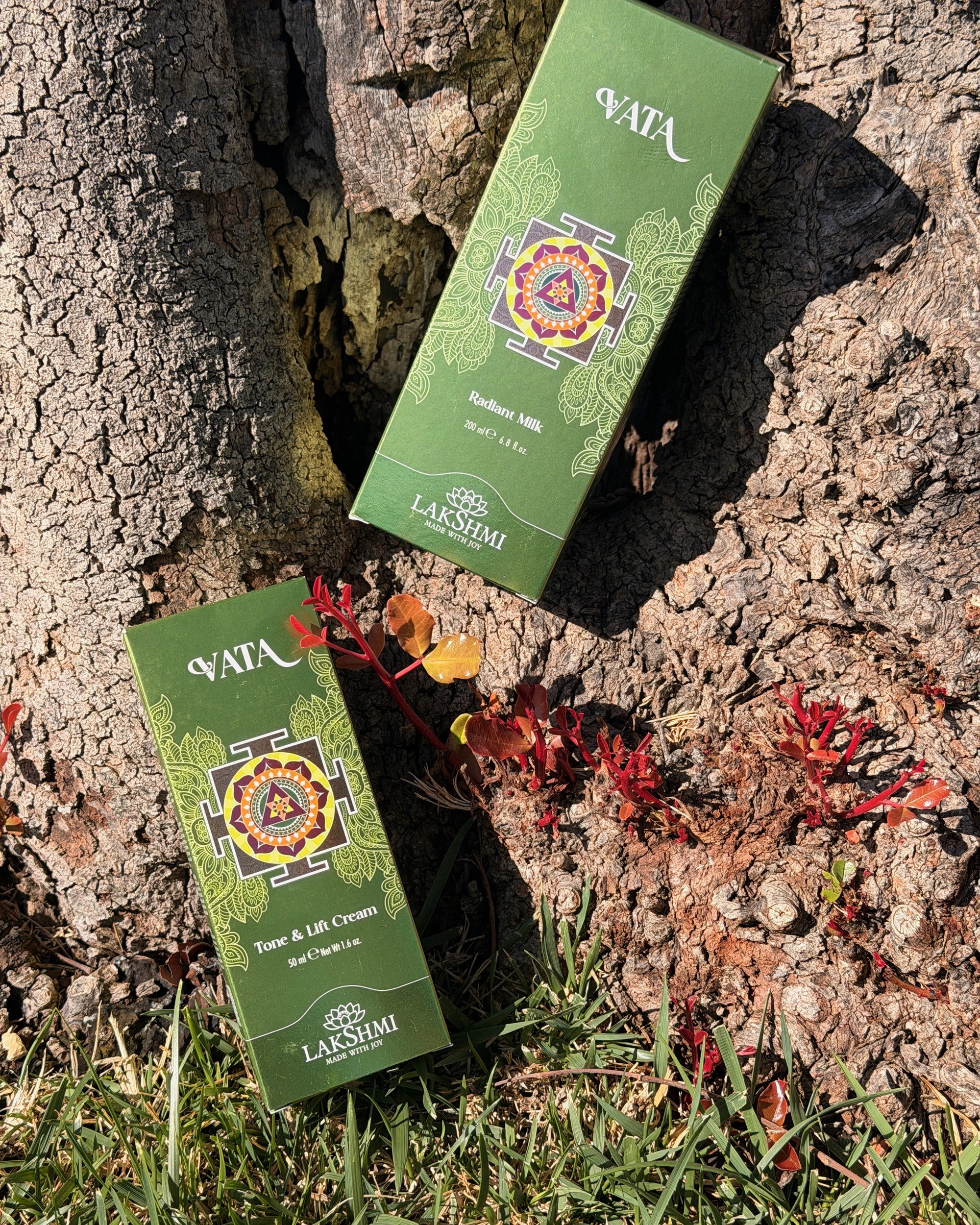 Lakshmi VATA Tone and Lift Cream box against olive bark